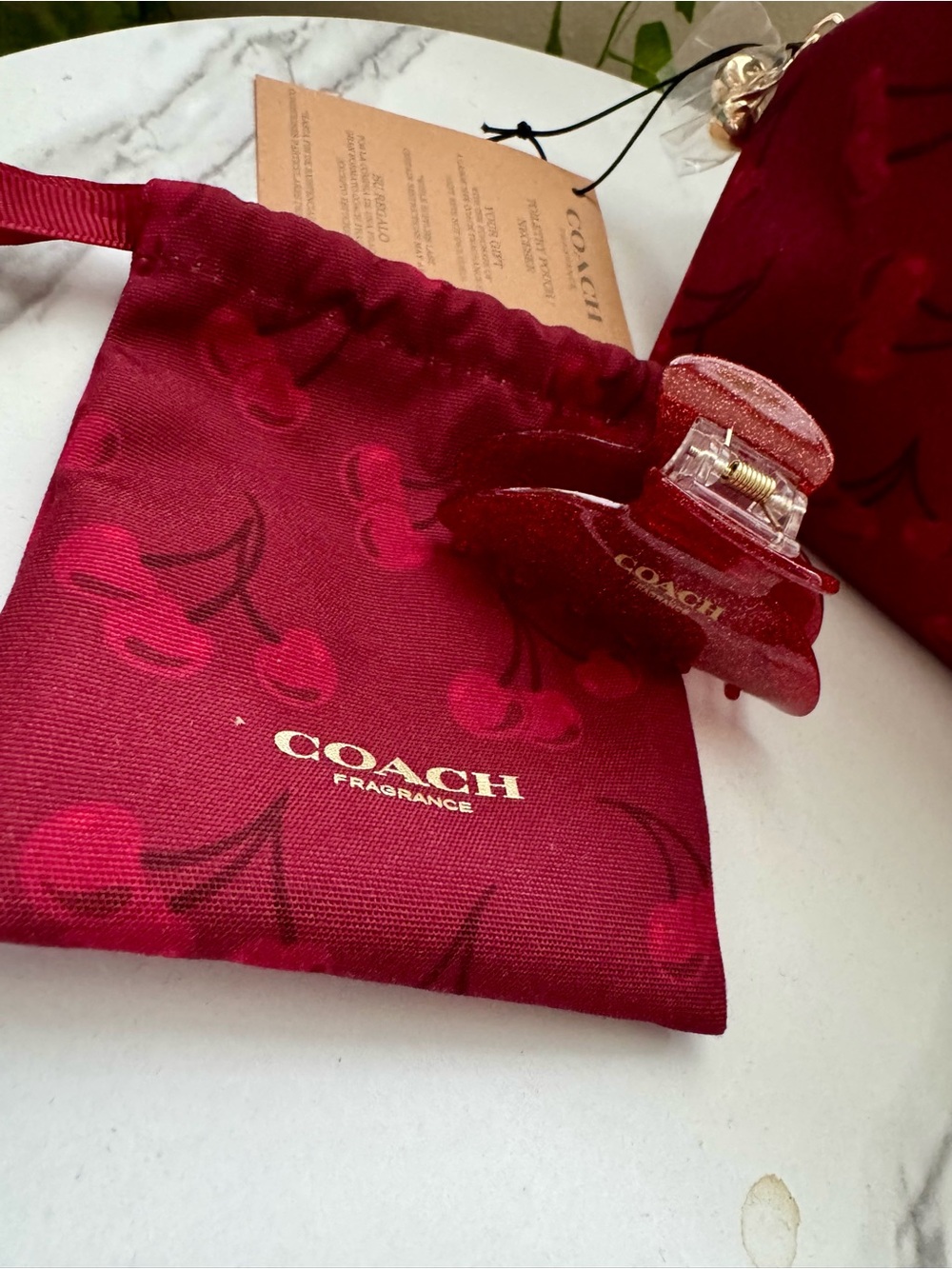 COACH 🍒 Cherry-Print Cosmetic beauty Pouch set - Picture 4 of 6